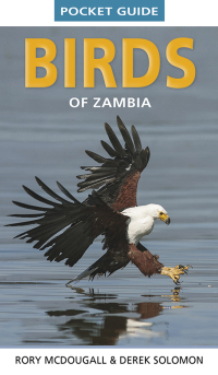 Imagen de portada: Pocket Guide Birds of Zambia 1st edition 9781775847144