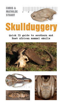 Titelbild: Skullduggery 1st edition 9781775847267
