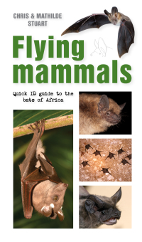 Cover image: Flying Mammals 1st edition 9781775847281