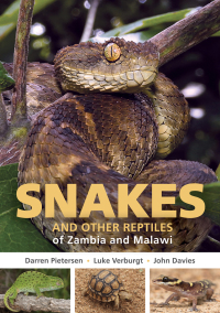 Omslagafbeelding: Snakes and other Reptiles of Zambia and Malawi 1st edition 9781775847373