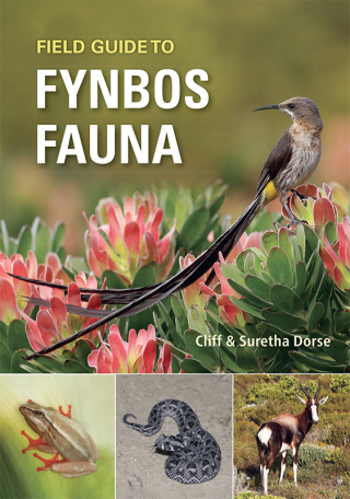 Cover image: Field Guide to Fynbos Fauna 1st edition 9781775847397