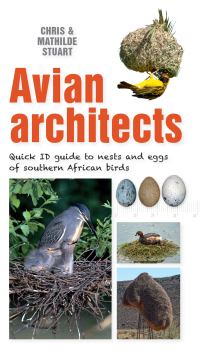 Omslagafbeelding: Quick ID Guide – Avian Architects 1st edition 9781775847434