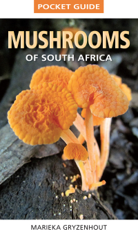 Omslagafbeelding: Pocket Guide Mushrooms of South Africa 1st edition 9781775847496
