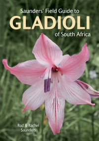 Titelbild: Saunders’ Field Guide to Gladioli of South Africa 1st edition 9781775847618