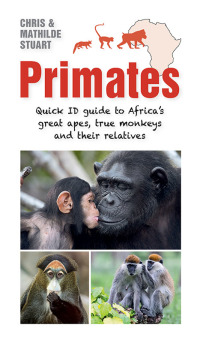 Imagen de portada: Primates 1st edition 9781775847939
