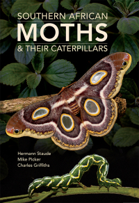 Omslagafbeelding: Southern African Moths & their Caterpillars 1st edition 9781775847953