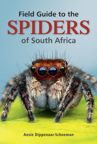 表紙画像: Field Guide to the Spiders of South Africa 1st edition 9781775847977