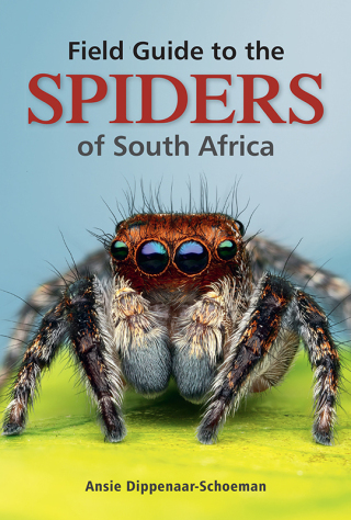 Omslagafbeelding: Field Guide to the Spiders of South Africa 2nd edition 9781775847977