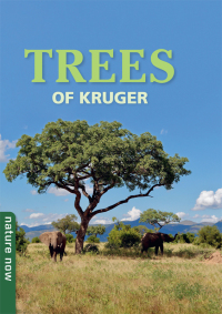 Cover image: Trees of Kruger 1st edition 9781775848172