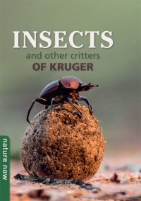 Imagen de portada: Insects and other Critters of Kruger 1st edition 9781775848219