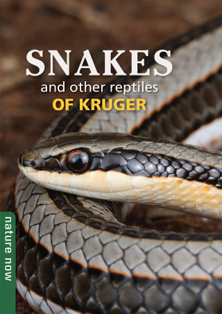 Cover image: Snakes and other reptiles of Kruger 1st edition 9781775848417