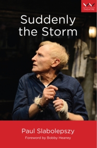 Cover image: Suddenly the Storm 9781776140923