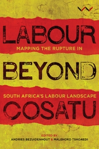 Cover image: Labour Beyond Cosatu 9781776140534