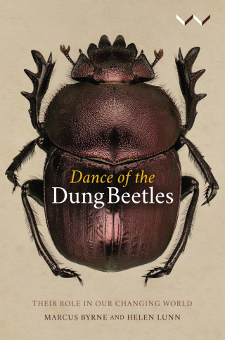 Cover image: Dance of the Dung Beetles 9781776144655