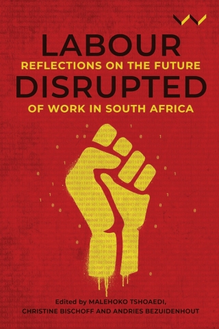 Imagen de portada: Labour Disrupted 9781776148226