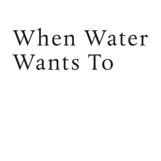 Cover image: When Water Wants To 9781776149797