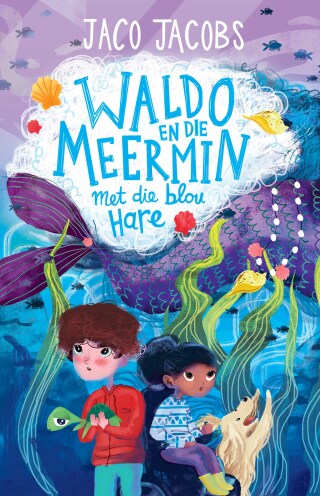 Cover image: Waldo en die meermin met die blou hare 9781776250288