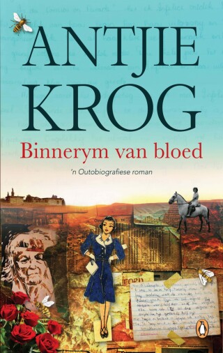 Cover image: Binnerym van bloed 9781776391837