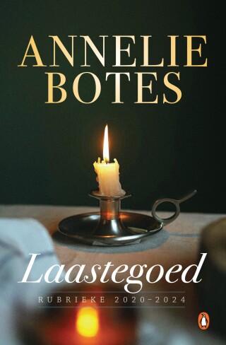 Cover image: Laastegoed 9781776392278