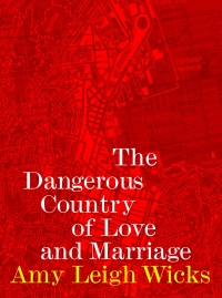 Cover image: The Dangerous Country of Love and Marriage 9781869408978