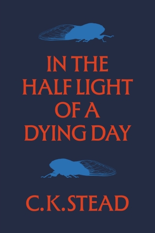 Cover image: In the Half Light of a Dying Day 9781776711451