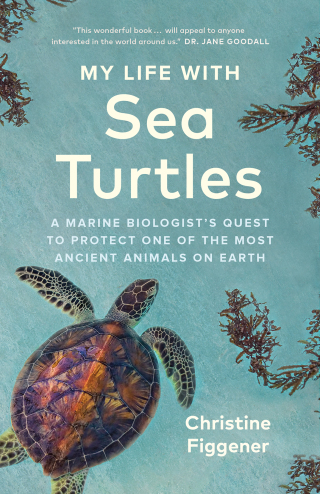 Cover image: My Life with Sea Turtles 9781778400582