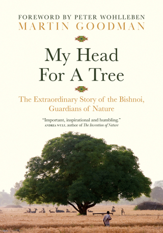 Cover image: My Head for a Tree 9781778401497