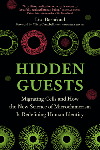 Cover image: Hidden Guests 9781778402661
