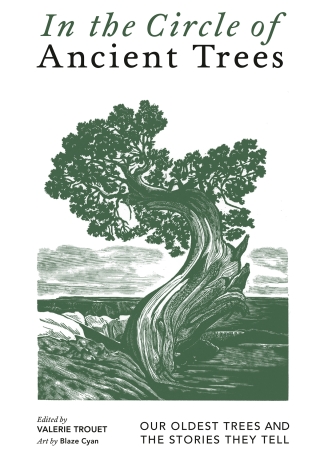 Cover image: In the Circle of Ancient Trees 9781778402685