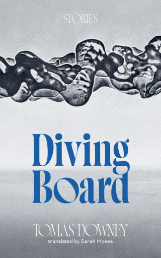 Imagen de portada: Diving Board 9781778430732