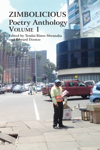 Cover image: Zimbolicious Poetry Anthology: Volume 1 9780797496422