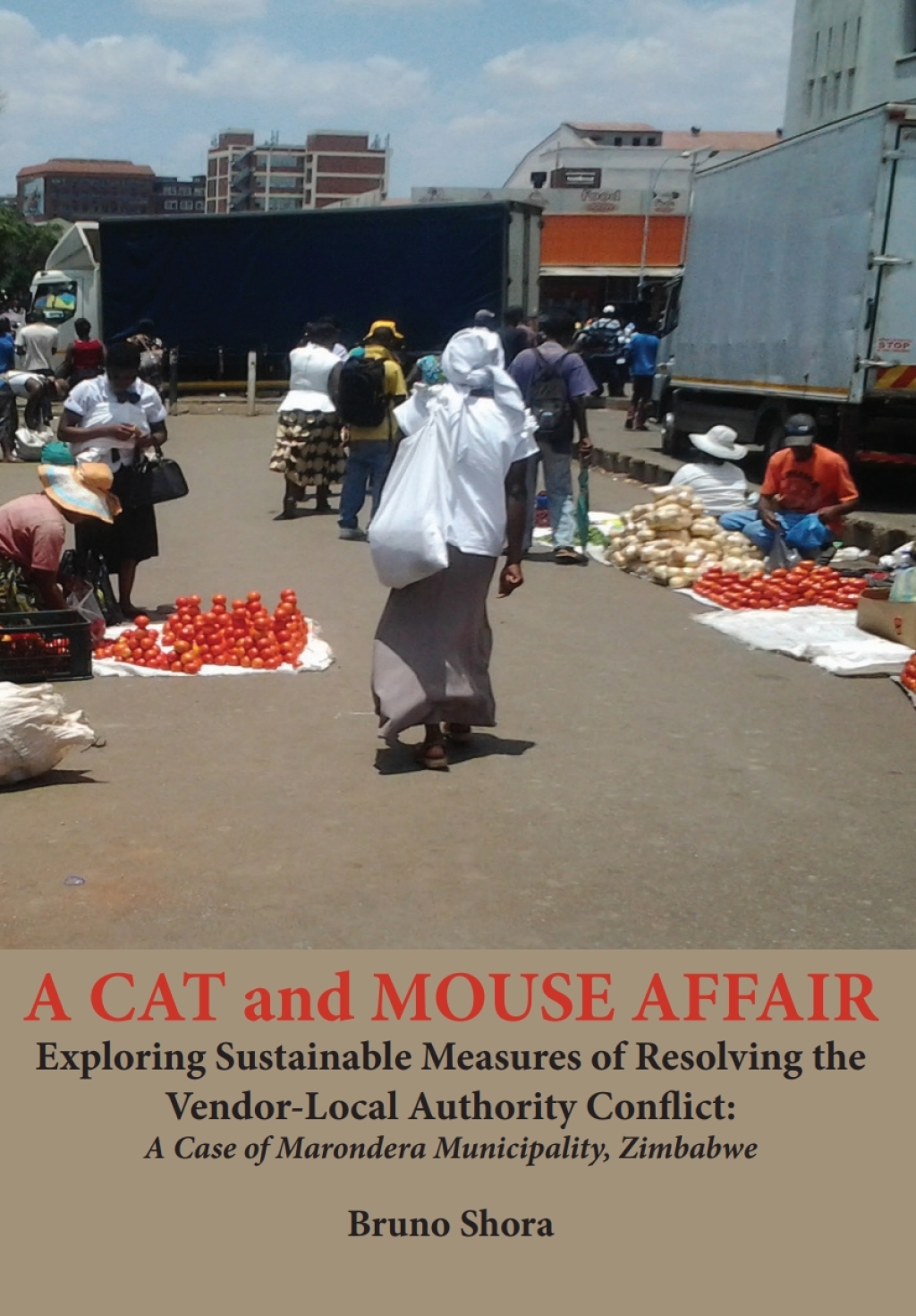 A Cat and Mouse Affair Exploring Sustainable Measures of Resolving the Vendor-Local Authority Conflict: A Case of Maronder 1st Edition