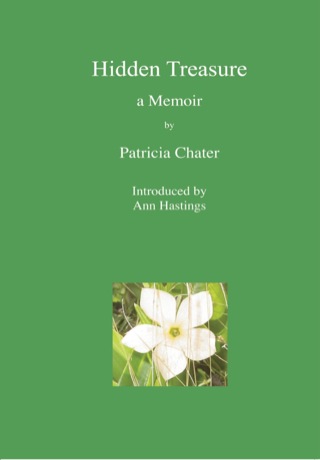 Imagen de portada: Hidden Treasure 1st edition 9781779221865