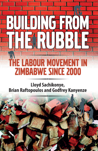 Cover image: Sachikonye: Building from the Rubble 1st edition 9781779223418