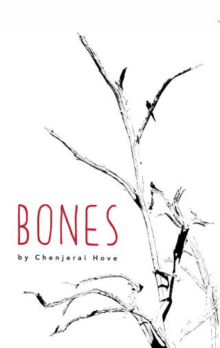 Imagen de portada: Bones 2nd edition 9781779223906