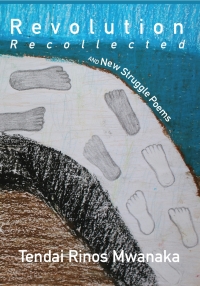 Cover image: Revolution Recollected and New Struggle Poems 9781779272805