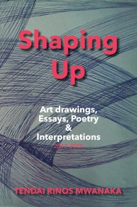 Cover image: Shaping Up: Art drawings, Essays, Poetry and Interpretations 9781779255808