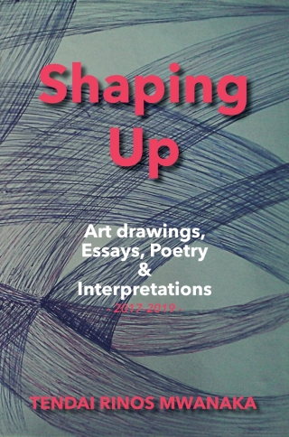 Cover image: Mwanaka: Shaping Up: Art drawings, Essays, Poetry 1st edition 9781779255808