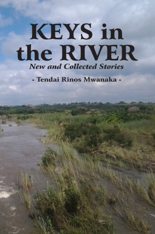 Cover image: Mwanaka: Keys in the River 1st edition 9780797495517