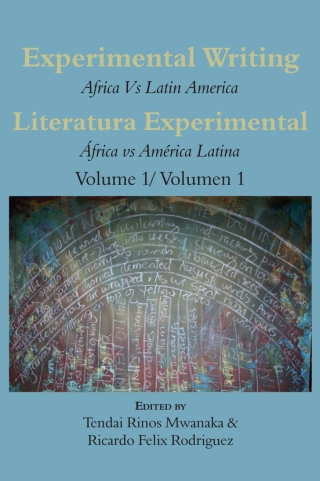 Cover image: Experimental Writing 1st edition 9781779243164
