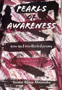 Cover image: Pearls of Awareness 9781779314581