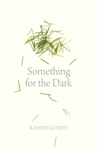 Cover image: Something for the Dark 9781779400888