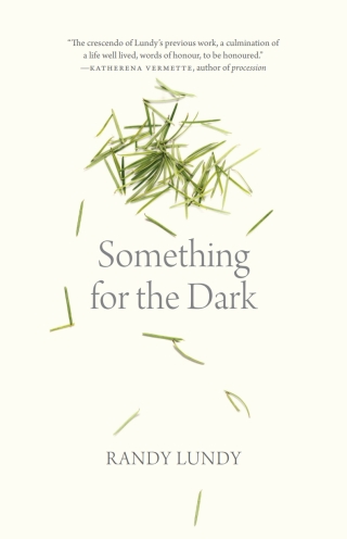 Cover image: Something for the Dark 9781779400888