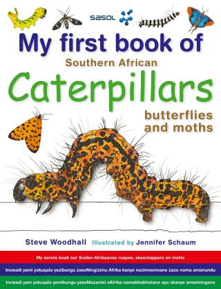 Cover image: My first book of Southern African Caterpillars, butterflies and moths 9781775840152