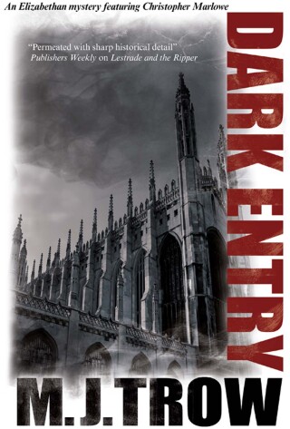 Cover image: Dark Entry 9781780290065