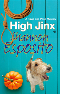 Cover image: High Jinx 9781847517043