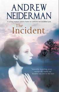 Cover image: The Incident 9781780107738