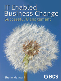 Cover image: IT-Enabled Business Change 1st edition 9781902505916