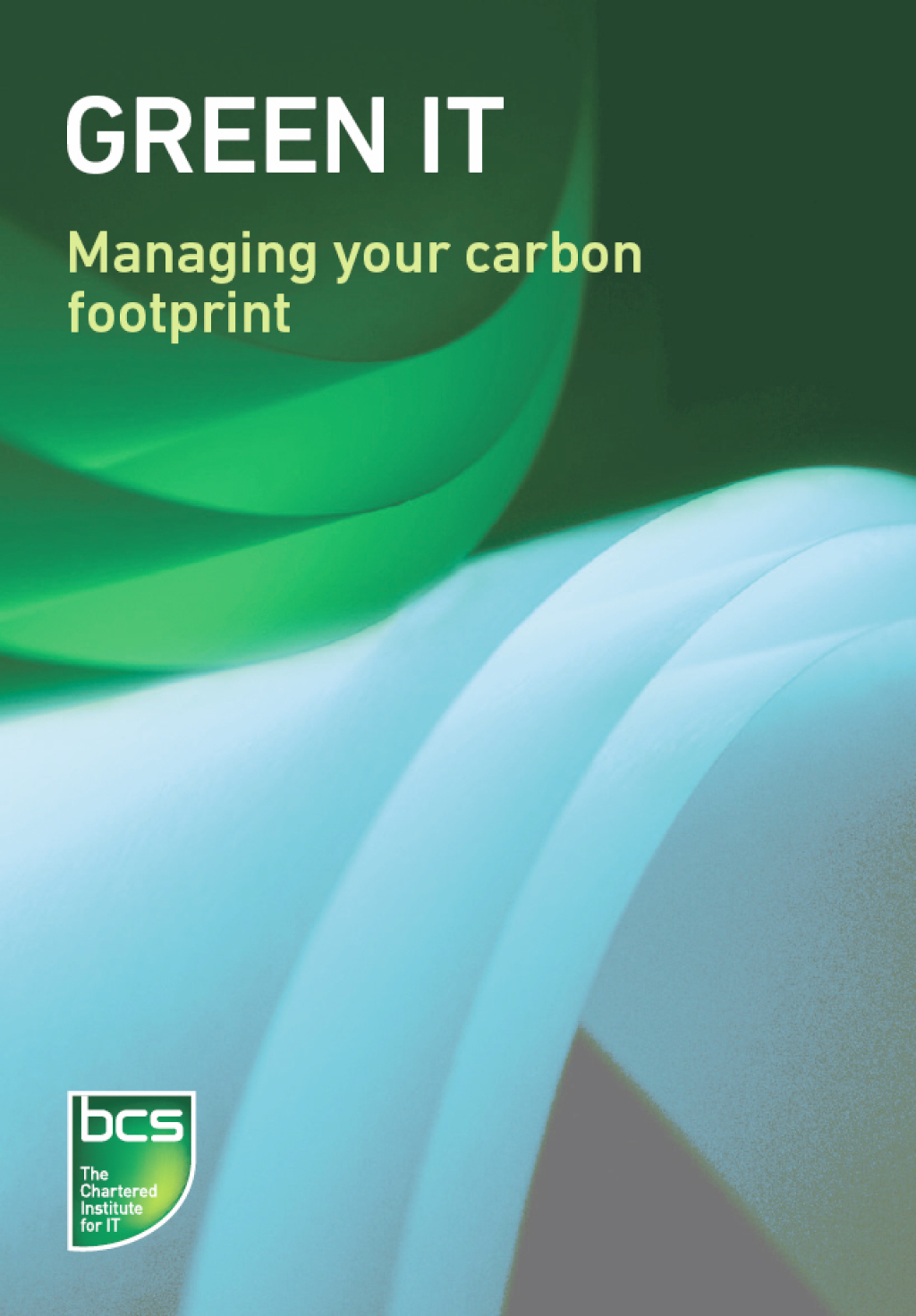 Green IT Managing your carbon footprint 1st Edition