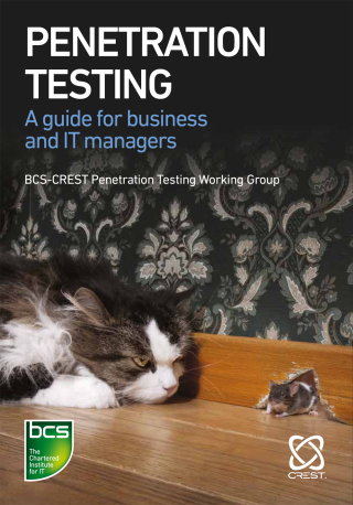 Imagen de portada: Penetration Testing 1st edition 9781780174082